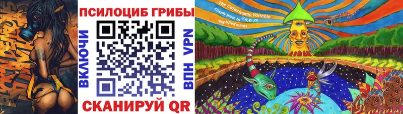 Галлюциногенные грибы мицелий  Гаврилов-Ям 